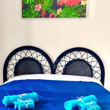 Dgs Apartment